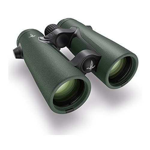 Swarovski OPTIK 10x42 EL Laser Rangefinder Binoculars for Hunting with SWAROVVISION Technology and App Support (Green)