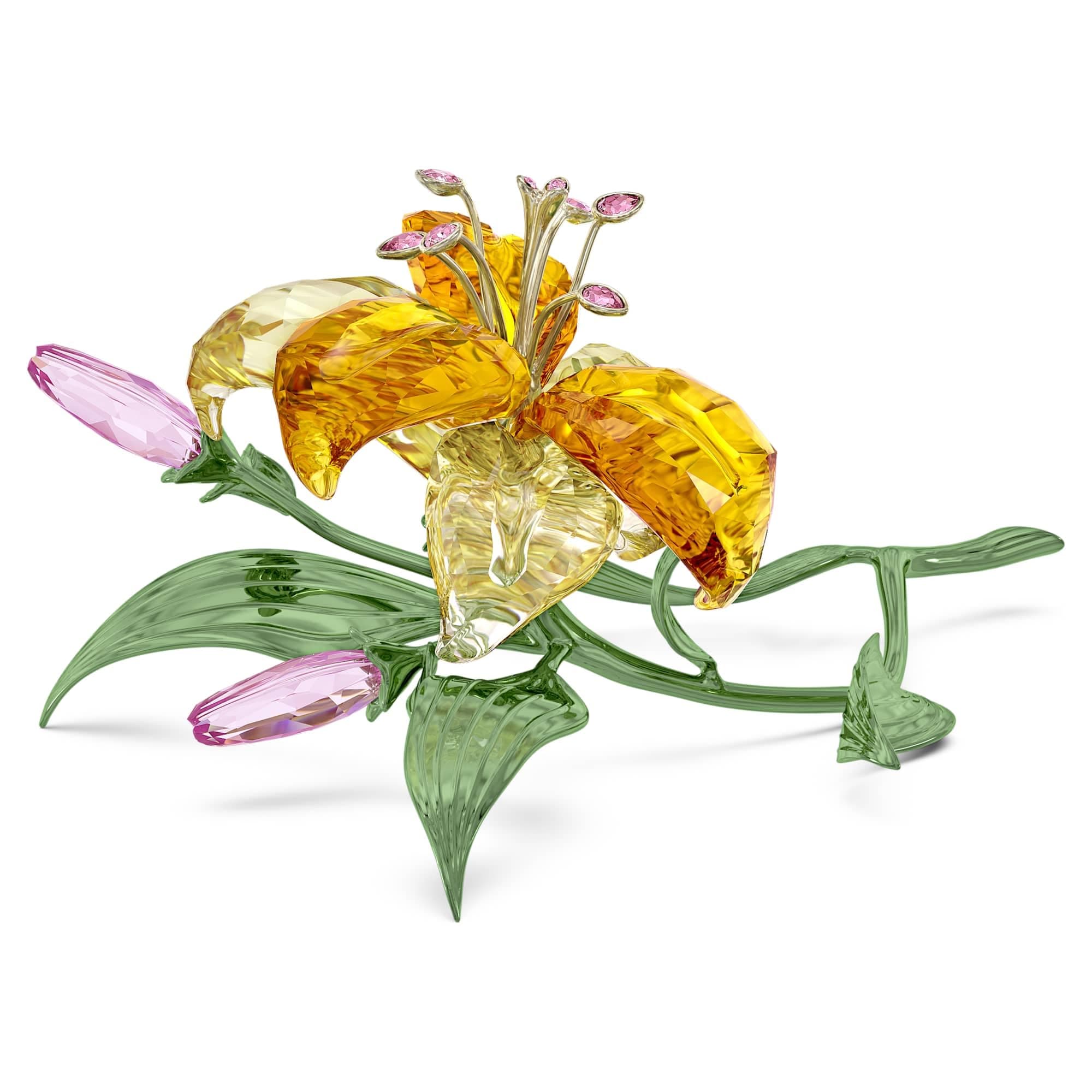 Florere Lily Large Beautiful Blossoms for Garden Lovers Outdoor Plantings Up to 3 Feet Tall